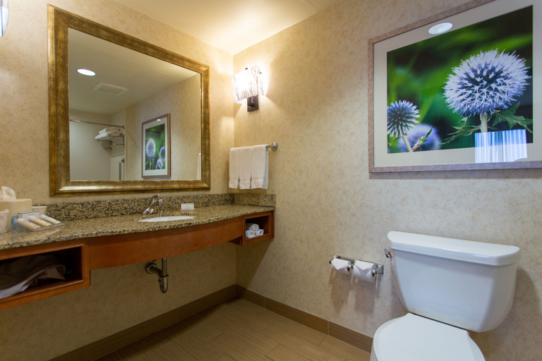 Bathroom 4, Hilton Garden Inn Cedar Falls, Black Hawk