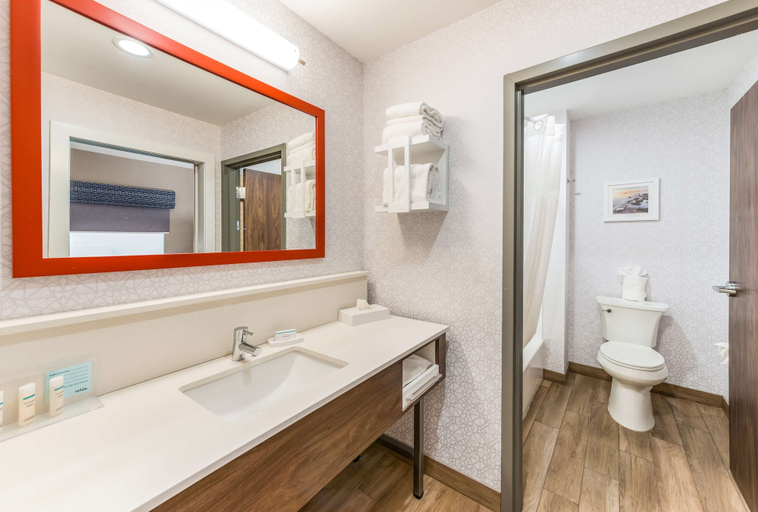 Bathroom 5, Hampton Inn & Suites Benton Harbor, Berrien