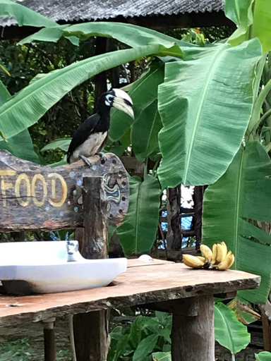 Food & Drinks 5, Koh Chang Resort Ranong, Muang Ranong