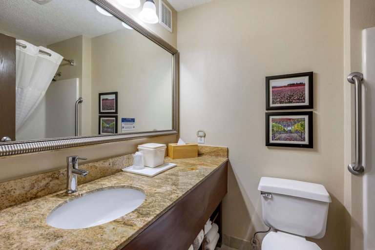 Bathroom 3, Comfort Inn Kelso - Longview, Cowlitz