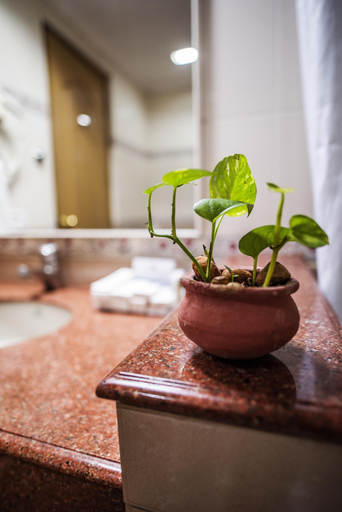 Bathroom 4, Hotel Abad Plaza, Ernakulam
