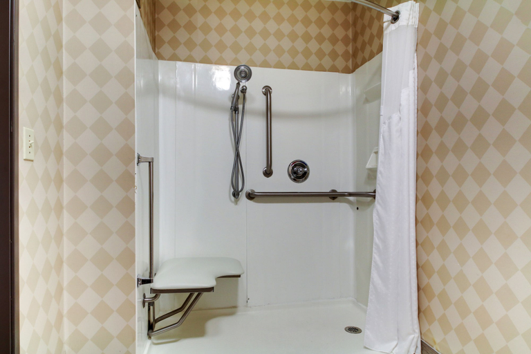 Bathroom 4, Galesburg Inn and Suites, Knox