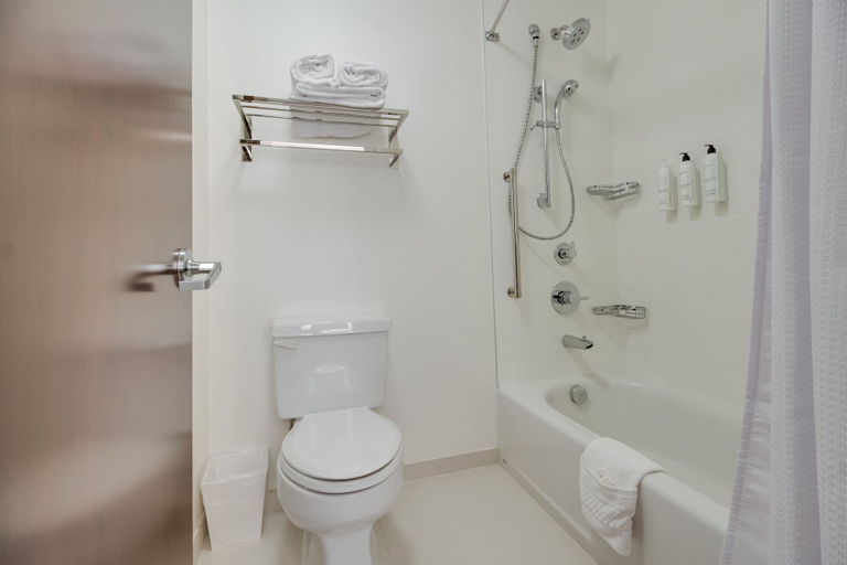 Bathroom 3, SpringHill Suites by Marriott Dallas NW Hwy/I35E, Dallas