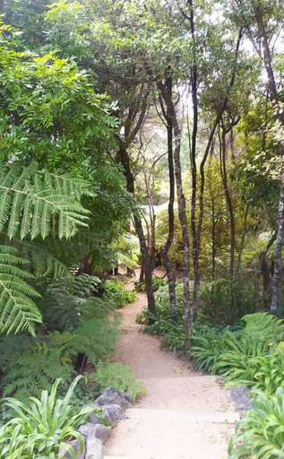 Others 4, Hekerua Lodge Boutique Backpackers, Auckland