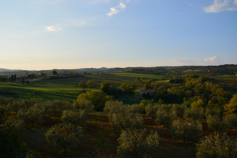 Others 5, Agriturismo L'Aquilone, Grosseto