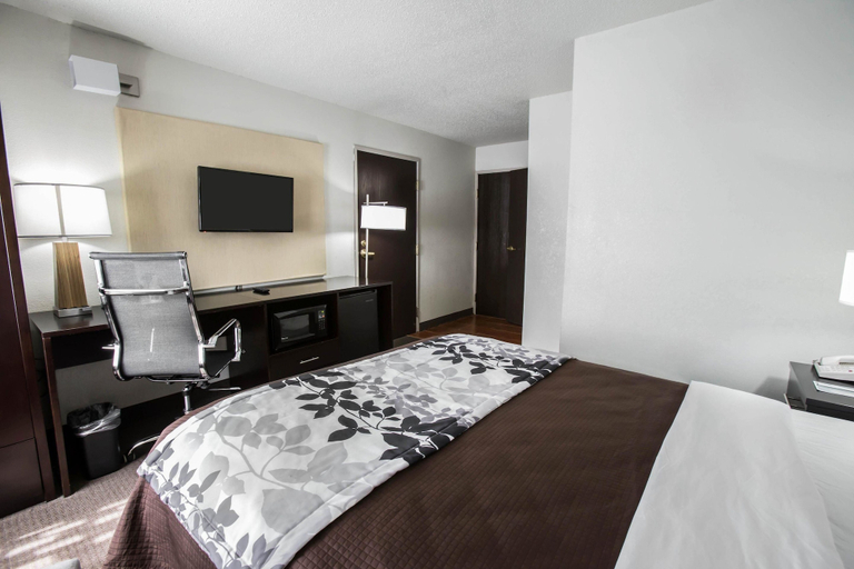 Bedroom 3, Sleep Inn Rockford I-90, Winnebago