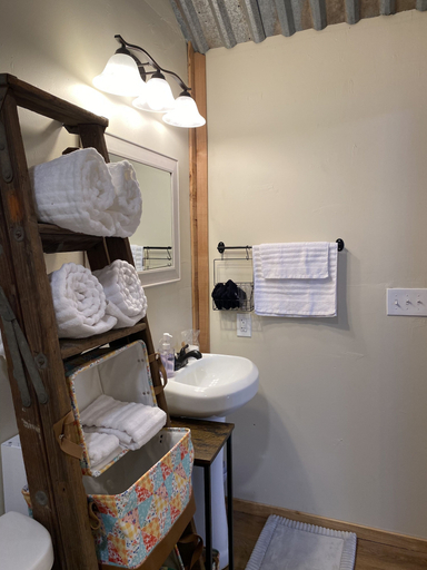 Bathroom 4, C&C Family Ranch, Comal