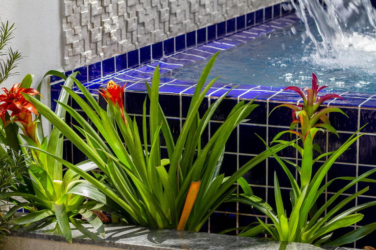 Sport & Beauty 4, Calamar Flats Paraty, Parati