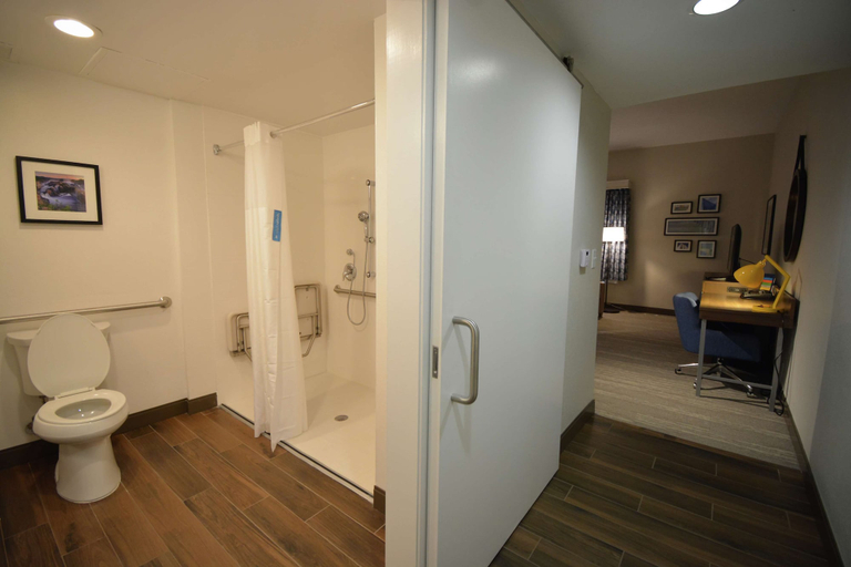 Bathroom 4, Hampton Inn Salem East - Electric Road, Salem