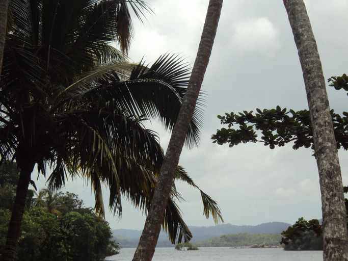Lake, Arunalu Lake Front, Habaraduwa