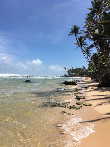 Others 3, Coconut Treehouse, Habaraduwa
