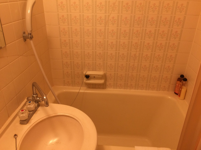 Bathroom 4, Kikuchi Kanko Hotel, Kikuchi