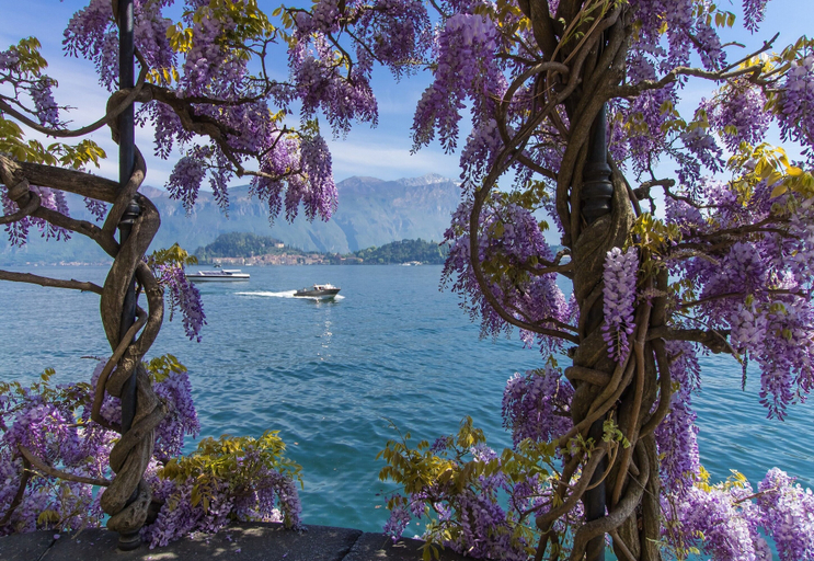 Others 5, Villa Anna, Como