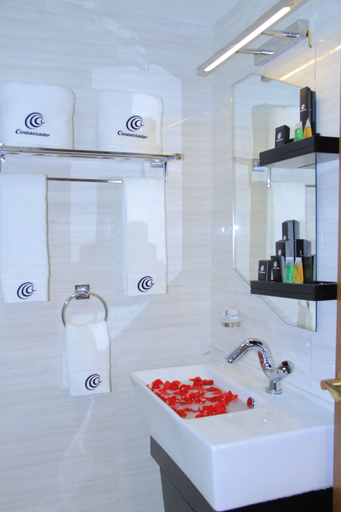 Bathroom 4, Bole Ambassador Hotel, Addis Abeba