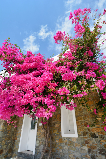 Exterior & Views, Sea Breeze Panormos, South Aegean