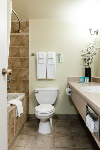 Bathroom 3, Welcominns Hotel Ottawa, Ottawa