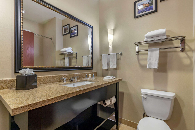 Bathroom 4, Comfort Suites Buda - Austin South, Hays