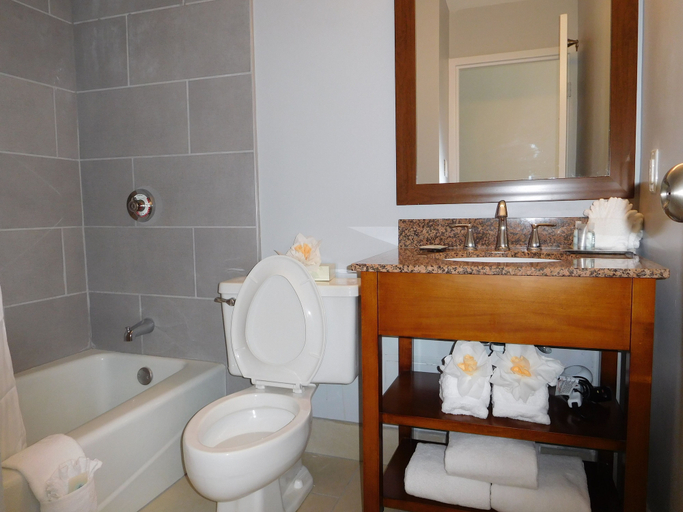 Bathroom 4, Wyndham Garden Greensboro, Guilford