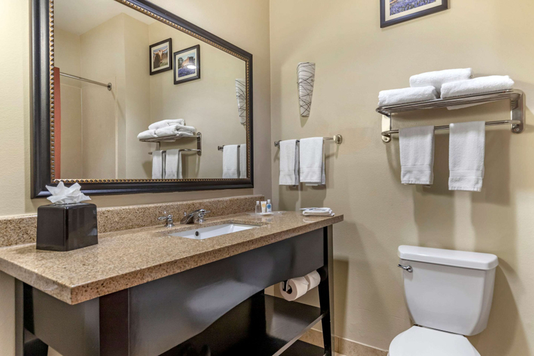 Bathroom 4, Comfort Suites Buda - Austin South, Hays