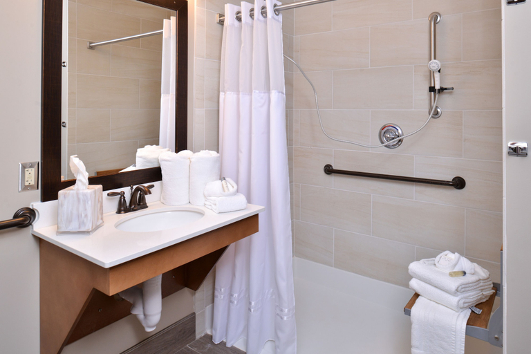 Bathroom 4, Appomattox Inn and Suites, Appomattox
