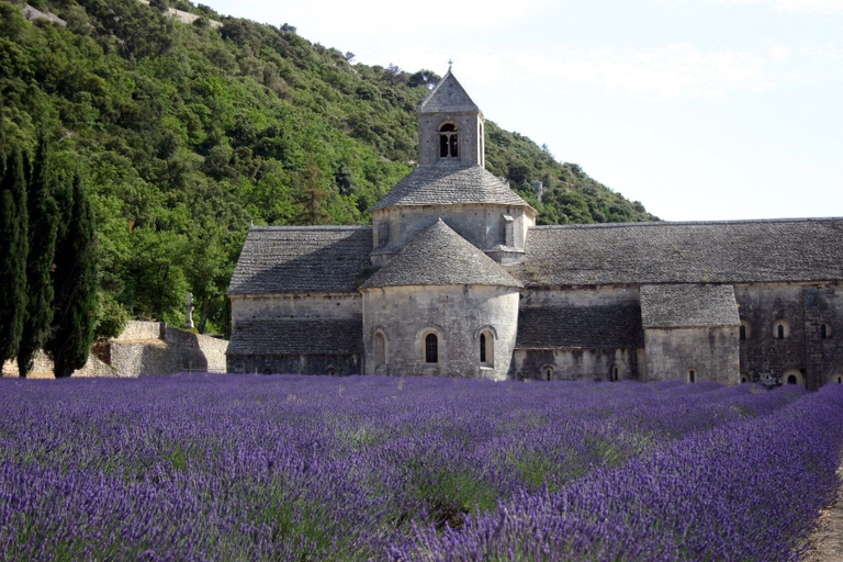 Exterior & Views 2, Hotel Les Bories & Spa, Vaucluse