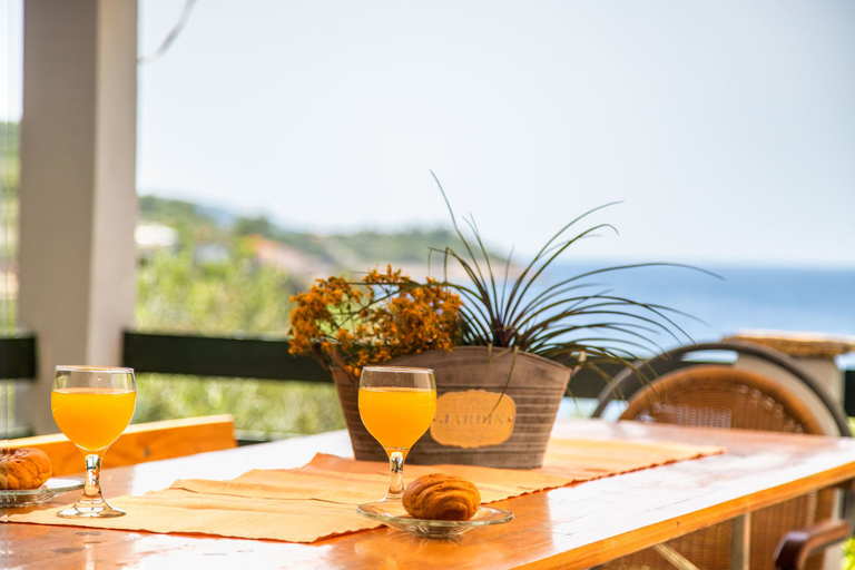 Food & Drinks 5, Apartment Dijana, Blato