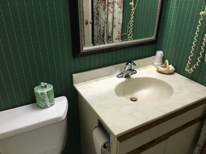 Bathroom 4, Weathervane Motel, Bennington