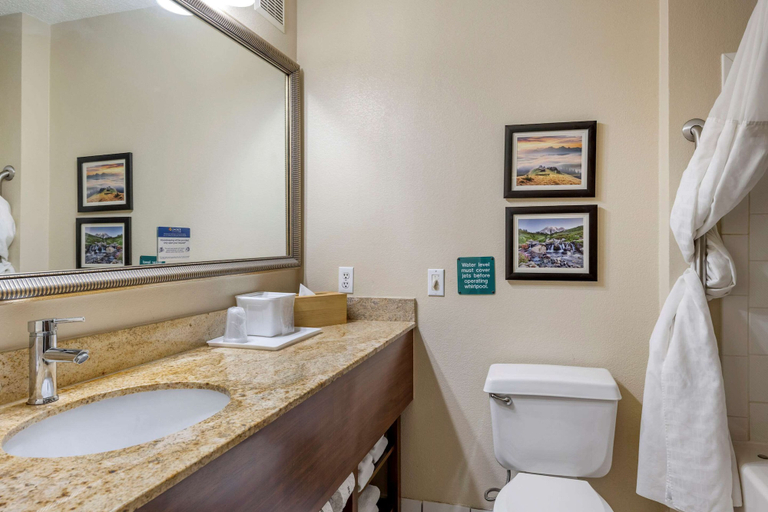 Bathroom 4, Comfort Inn Kelso - Longview, Cowlitz