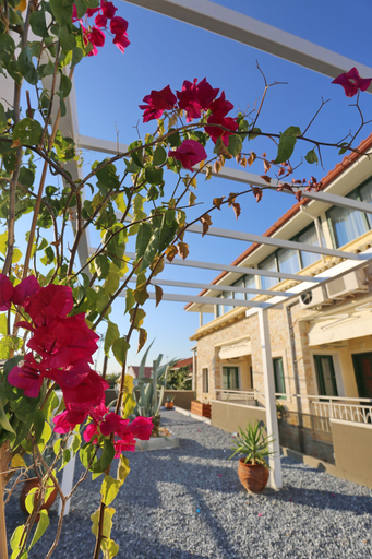 Exterior & Views 2, Philoxenia Spa Hotel, Central Macedonia