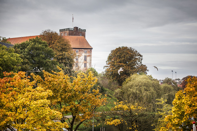 Exterior & Views 2, Hotel Kolding, Kolding