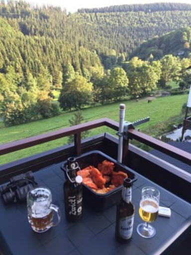View from property 3, Ferienwohnung Markus, Hochsauerlandkreis