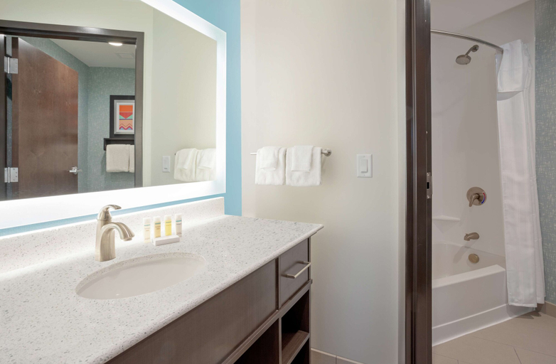 Bathroom 4, Homewood Suites by Hilton Edina Minneapolis, Hennepin