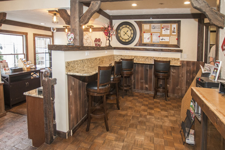 Food & Drinks 5, Auld Holland Inn, Island