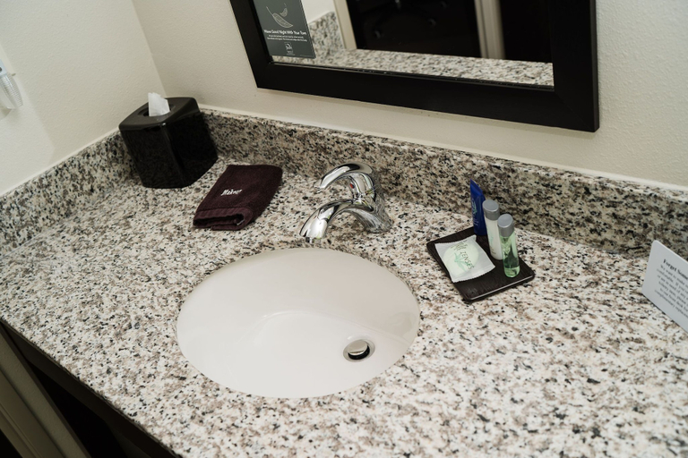 Bathroom 4, MainStay Suites at Discovery Park of America, Obion