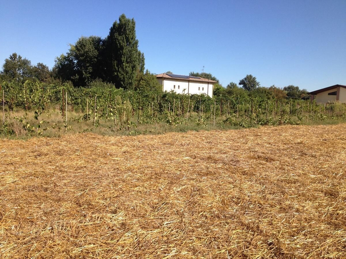 Others 3, Agriturismo Arcadia, Bologna