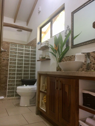 Bathroom 3, Royal Palm Villas, Puntarenas