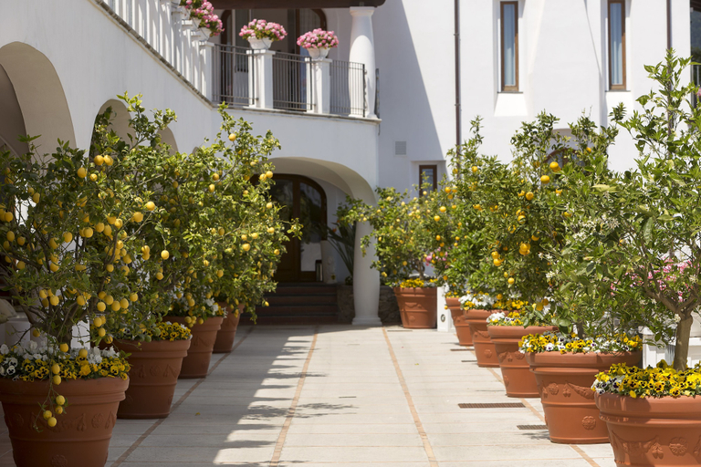 Exterior & Views 2, Villa Piedimonte, Salerno