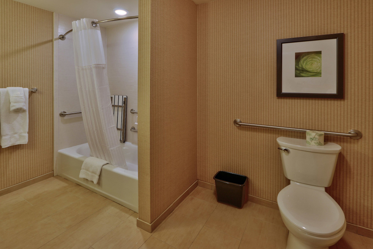 Bathroom 4, Hilton Garden Inn Gallup, McKinley
