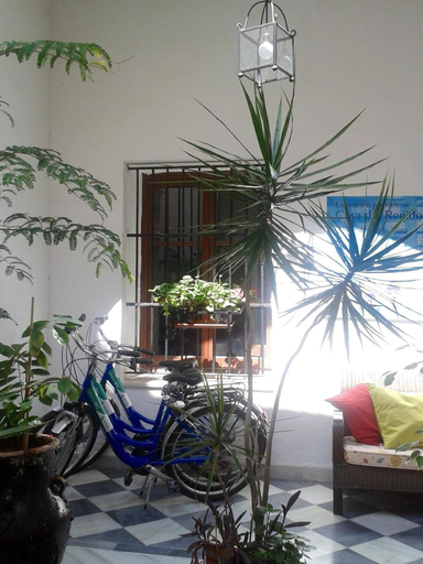 Others 5, Casa Del Regidor, Cádiz
