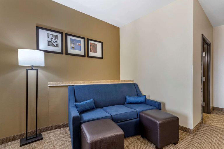 Others 5, Comfort Suites Buda - Austin South, Hays