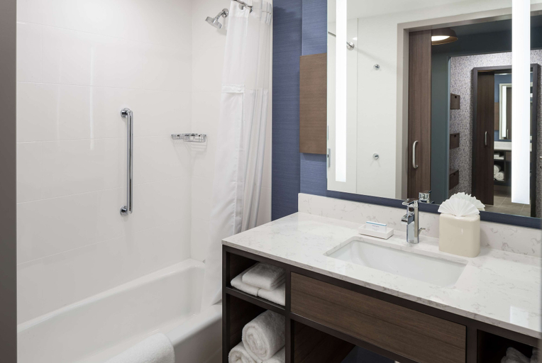 Bathroom 4, Hilton Garden Inn Madison Downtown, Dane