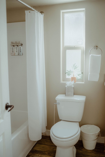 Bathroom 3, Teton Valley Resort, Teton