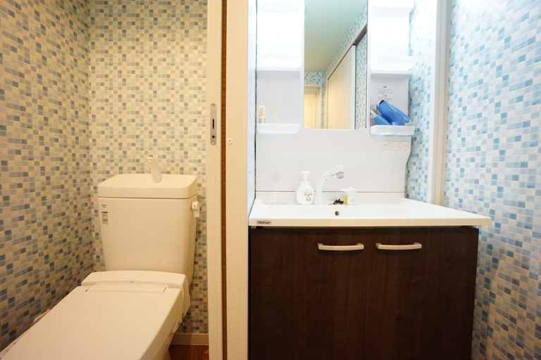 Bathroom 3, Terry's Apartment Namba South VI AD05A, Osaka