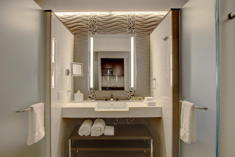 Bathroom 5, The Brooklyn, New York