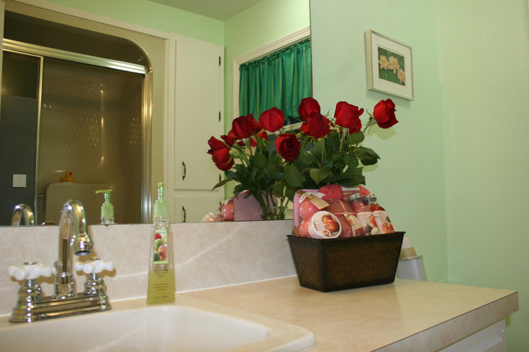 Bathroom 4, Tiffanys Bed & Breakfast, Hot Spring