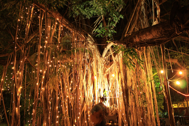 Banyan Tree Resort - Campsite, Coomalie