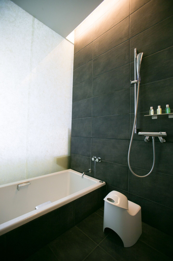 Bathroom 4, THE MEIBIA MIYAZAKI, Miyazaki