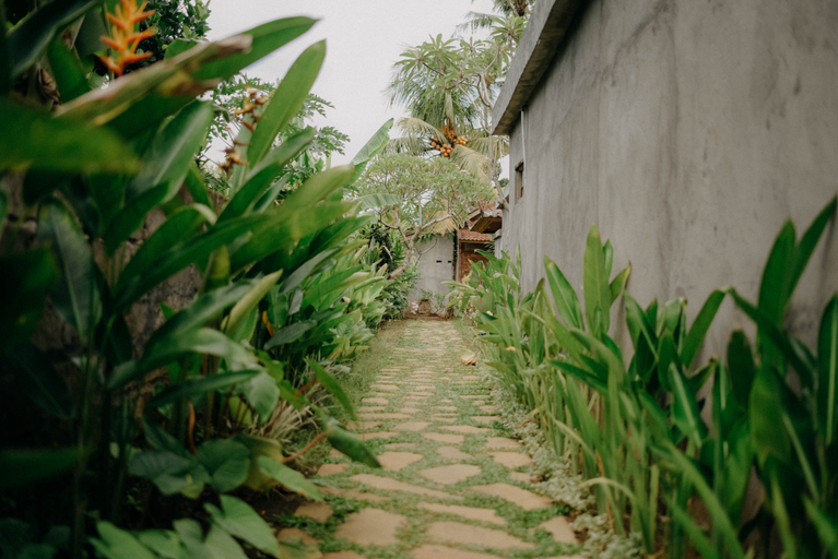 Exterior & Views 3, Sarini Villas, Gianyar