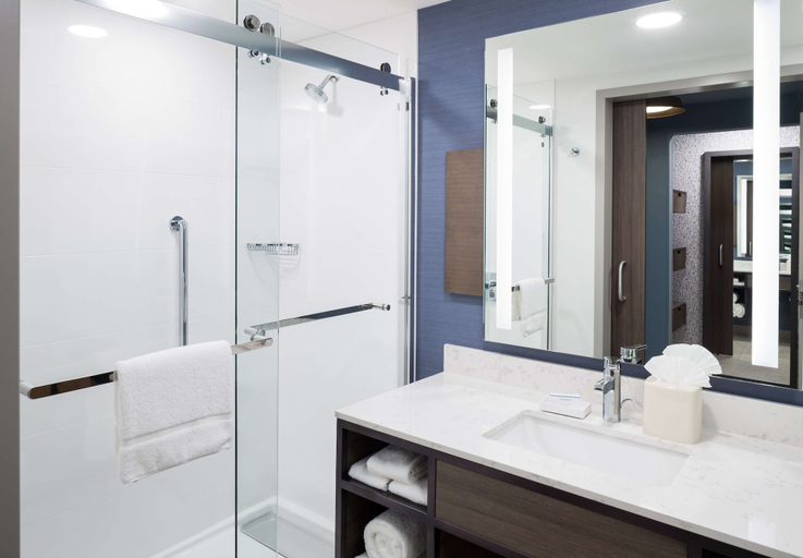 Bathroom 4, Hilton Garden Inn Madison Downtown, Dane
