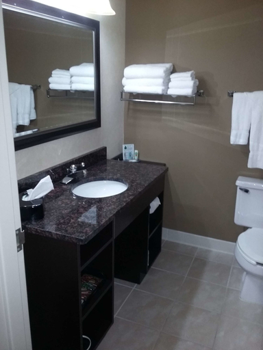 Bathroom 4, Quality Inn & Suites Escanaba North, Delta